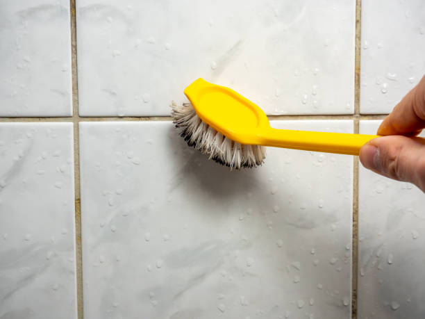 Best Local Mold Removal Service  in Windsor, PA