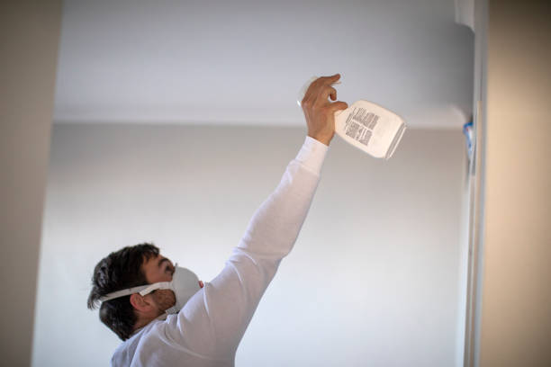 Best Mold Testing  in Windsor, PA