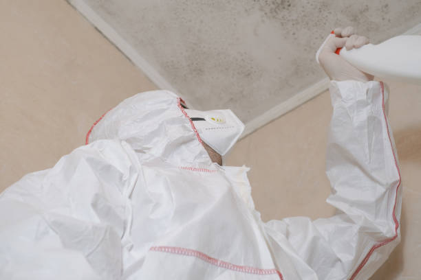 Best Crawl Space Mold Removal  in Windsor, PA